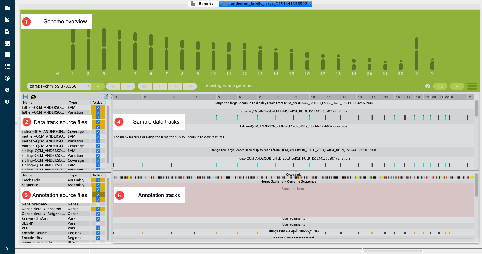 _images/genome-browser-panes.png